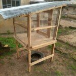 Bidemi-Atoyede-2