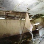 IMG-20220512-WA0008