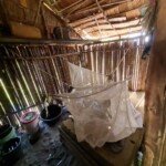 IMG-20221016-WA0004